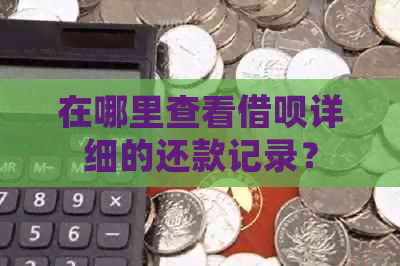 在哪里查看借呗详细的还款记录？