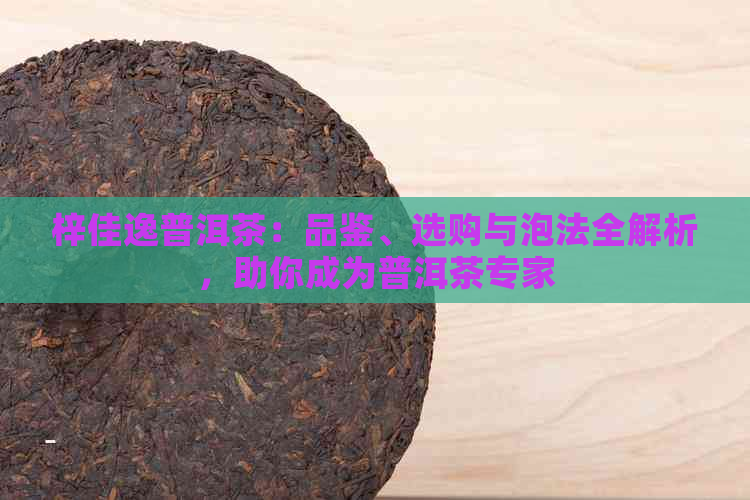 梓佳逸普洱茶：品鉴、选购与泡法全解析，助你成为普洱茶专家