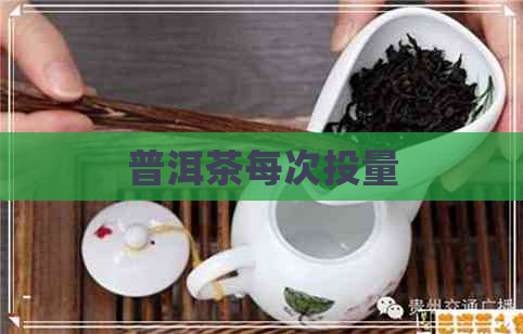 普洱茶每次投量