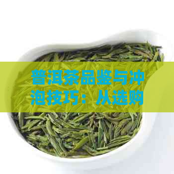 普洱茶品鉴与冲泡技巧：从选购到饮用的全攻略