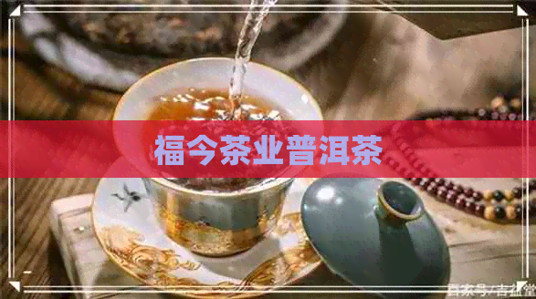 福今茶业普洱茶