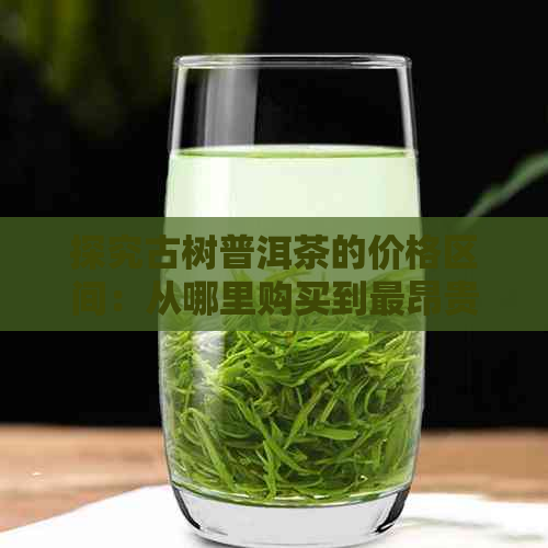 探究古树普洱茶的价格区间：从哪里购买到最昂贵的茶叶品种？