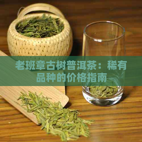 老班章古树普洱茶：稀有品种的价格指南