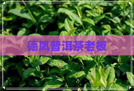 德凤普洱茶老板