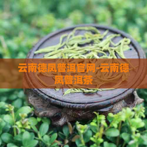 云南德凤普洱官网-云南德凤普洱茶