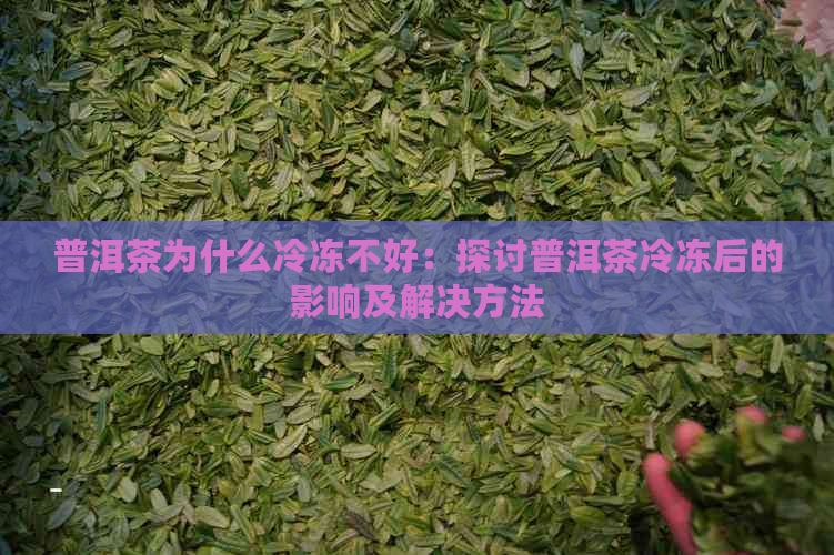 普洱茶为什么冷冻不好：探讨普洱茶冷冻后的影响及解决方法