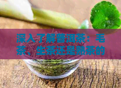 深入了解普洱茶：毛茶、生茶还是熟茶的真正区别与选择