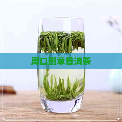 周口班章普洱茶