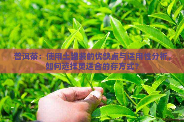 普洱茶：使用土罐装的优缺点与适用性分析，如何选择更适合的存方式？