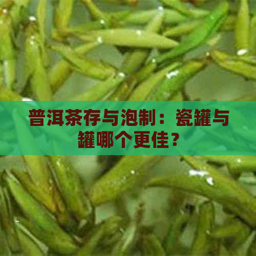 普洱茶存与泡制：瓷罐与罐哪个更佳？