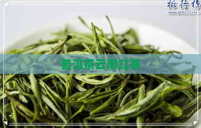 普洱茶云南红茶