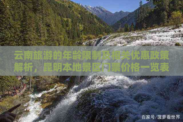 云南旅游的年龄限制及相关优惠政策解析，昆明本地景区门票价格一览表