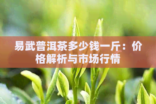 易武普洱茶多少钱一斤：价格解析与市场行情