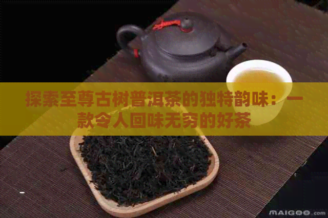 探索至尊古树普洱茶的独特韵味：一款令人回味无穷的好茶