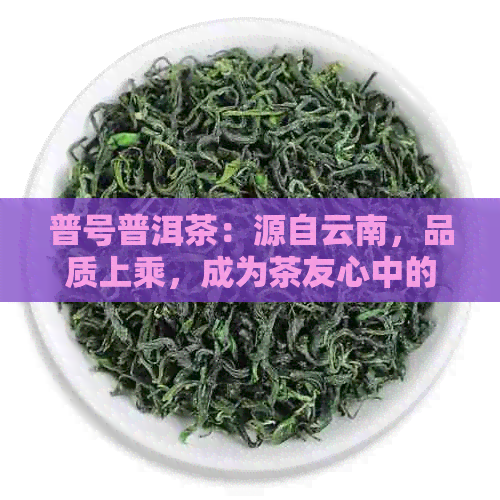 普号普洱茶：源自云南，品质上乘，成为茶友心中的信。