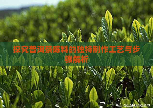 探究普洱茶陈料的独特制作工艺与步骤解析