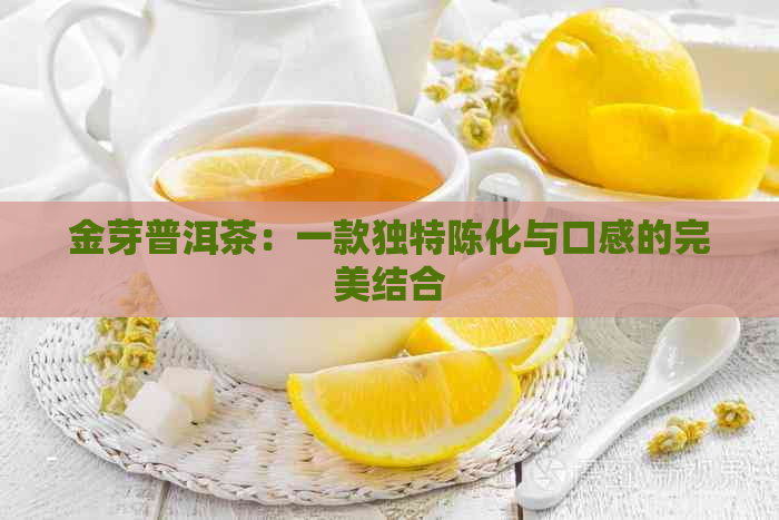 金芽普洱茶：一款独特陈化与口感的完美结合