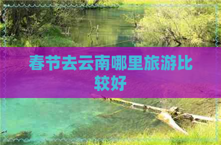 春节去云南哪里旅游比较好