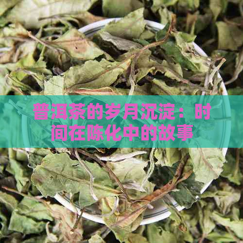 普洱茶的岁月沉淀：时间在陈化中的故事