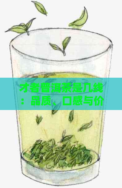 才者普洱茶是几线：品质、口感与价格解析，了解这款普洱茶是否值得收藏