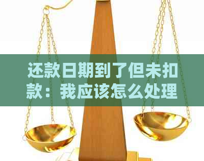 还款日期到了但未扣款：我应该怎么处理？可能的原因和解决方案全面解析