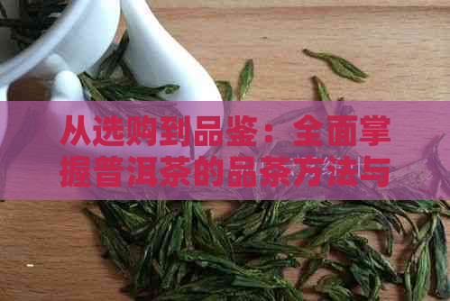 从选购到品鉴：全面掌握普洱茶的品茶方法与技巧