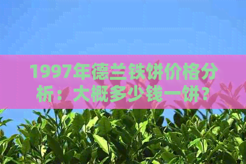 1997年德兰铁饼价格分析：大概多少钱一饼？