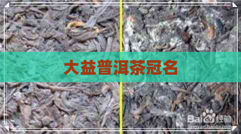 大益普洱茶冠名