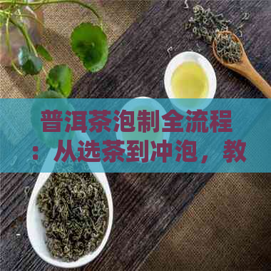 普洱茶泡制全流程：从选茶到冲泡，教你如何品鉴和制作一杯好茶