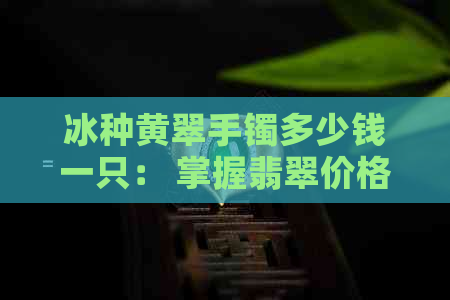 冰种黄翠手镯多少钱一只： 掌握翡翠价格，了解冰种黄翡翠手镯价值