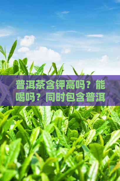 普洱茶含钾高吗？能喝吗？同时包含普洱茶含钙和低钾的相关问题。