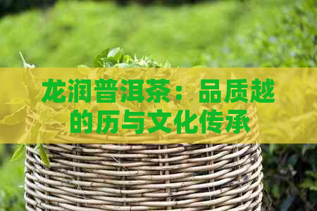 龙润普洱茶：品质越的历与文化传承