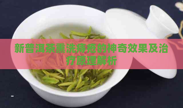 新普洱茶熏洗痔疮的神奇效果及治疗原理解析