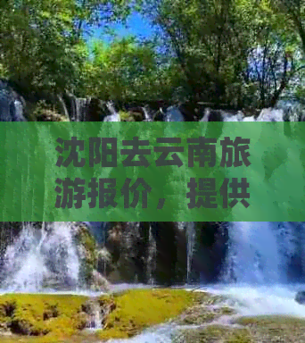 沈阳去云南旅游报价，提供详细线路和攻略。