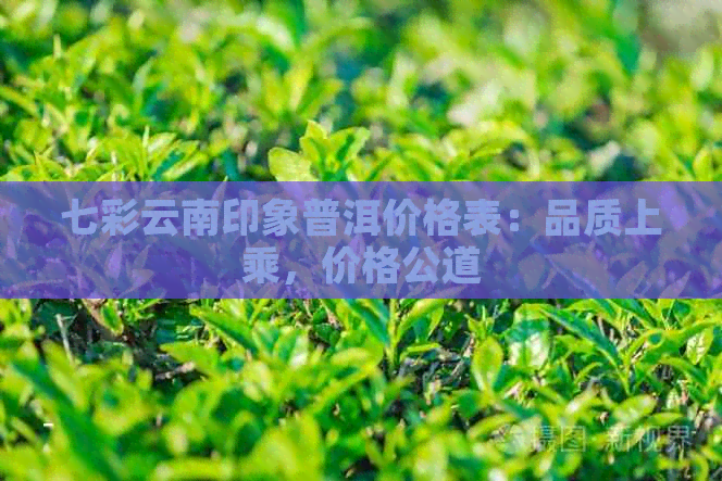 七彩云南印象普洱价格表：品质上乘，价格公道