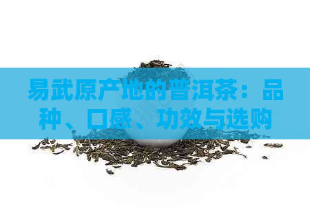 易武原产地的普洱茶：品种、口感、功效与选购指南，一篇全面了解的文章