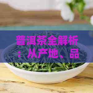 普洱茶全解析：从产地、品种到功效，深入了解世界第二大茶类的所有信息