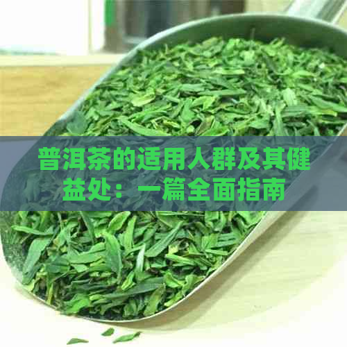 普洱茶的适用人群及其健益处：一篇全面指南