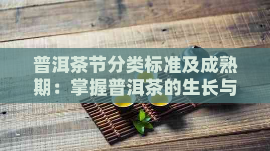 普洱茶节分类标准及成熟期：掌握普洱茶的生长与品质节变化