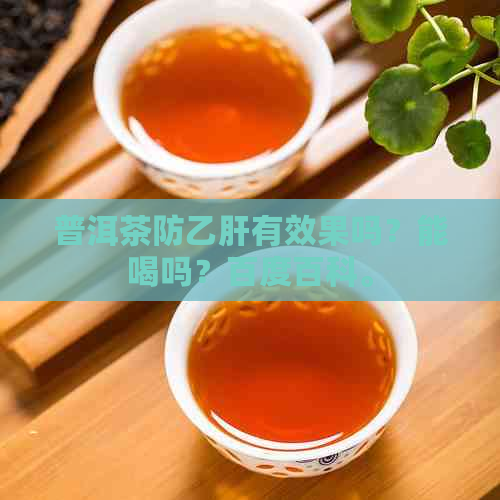 普洱茶防乙肝有效果吗？能喝吗？百度百科。