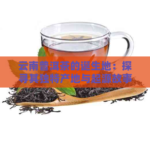 云南普洱茶的诞生地：探寻其独特产地与起源故事