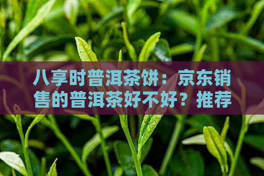 八享时普洱茶饼：京东销售的普洱茶好不好？推荐八色茶品。