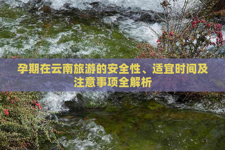 孕期在云南旅游的安全性、适宜时间及注意事项全解析