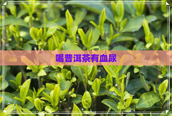 喝普洱茶有血尿