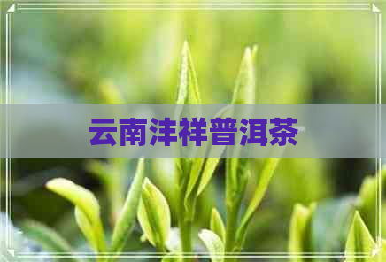 云南沣祥普洱茶