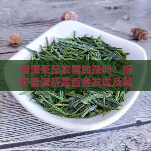 普洱茶是发霉的茶吗：揭秘普洱茶是否会发霉及其味道原因