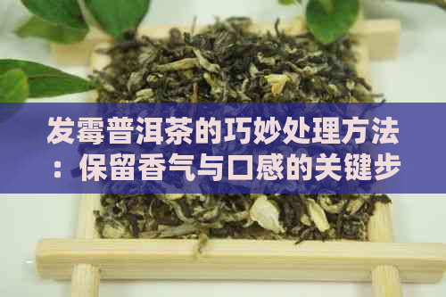 发霉普洱茶的巧妙处理方法：保留香气与口感的关键步骤