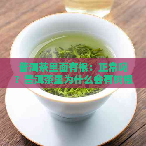 普洱茶里面有根：正常吗？普洱茶里为什么会有树根？