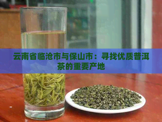 云南省临沧市与保山市：寻找优质普洱茶的重要产地