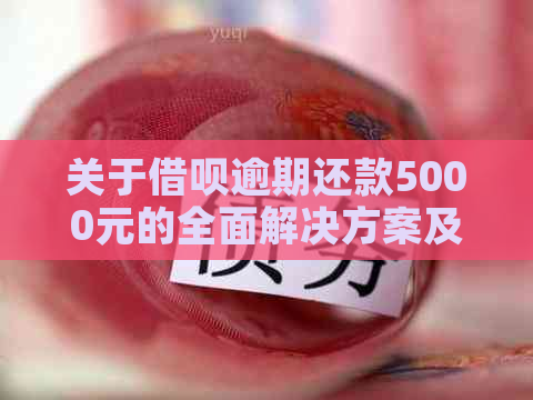 关于借呗逾期还款5000元的全面解决方案及可能面临的后果